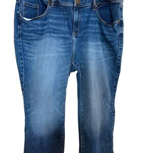 Lane Bryant Women's Blue Straight Leg Jeans